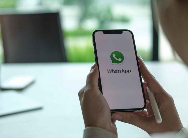 WhatsApp, come attivare la 'modalità cane'