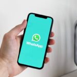 Whatsapp, basta confusione: gli sviluppatori cambiano la funzione: tutti i dettagli