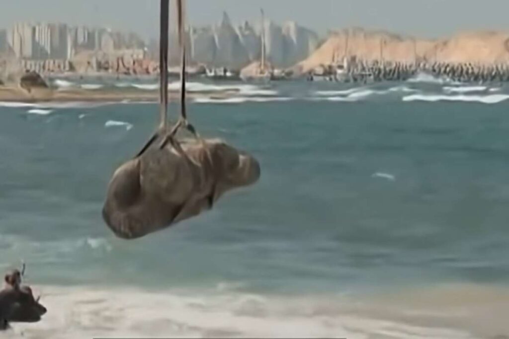 Reperti egizi riemergono dal mare