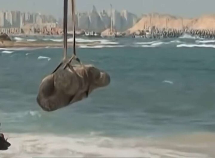 Reperti egizi riemergono dal mare