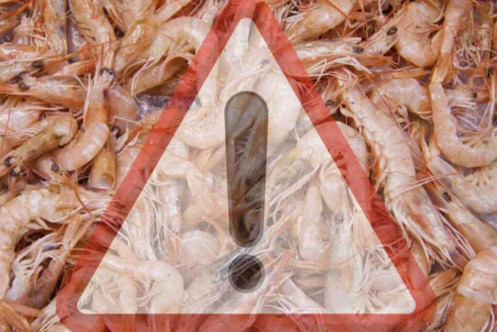 Walmart, uno dei maggiori distributori della grande distribuzione americana, ha disposto il ritiro immediato di tre lotti di gamberetti