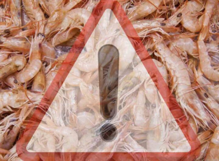 Walmart, uno dei maggiori distributori della grande distribuzione americana, ha disposto il ritiro immediato di tre lotti di gamberetti