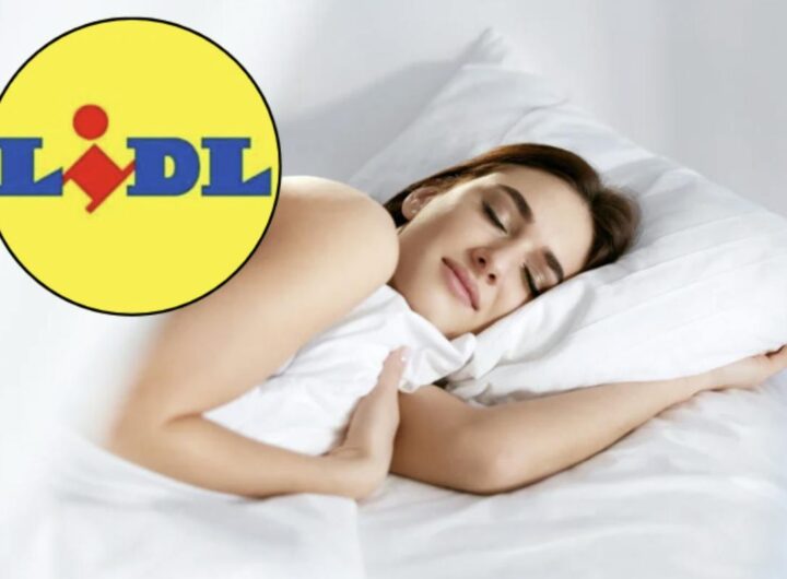 Grazie a un’iniziativa promozionale che coinvolge il noto marchio Livarno Home, è ora possibile acquistare un nuovo completo di lenzuola di alta qualità