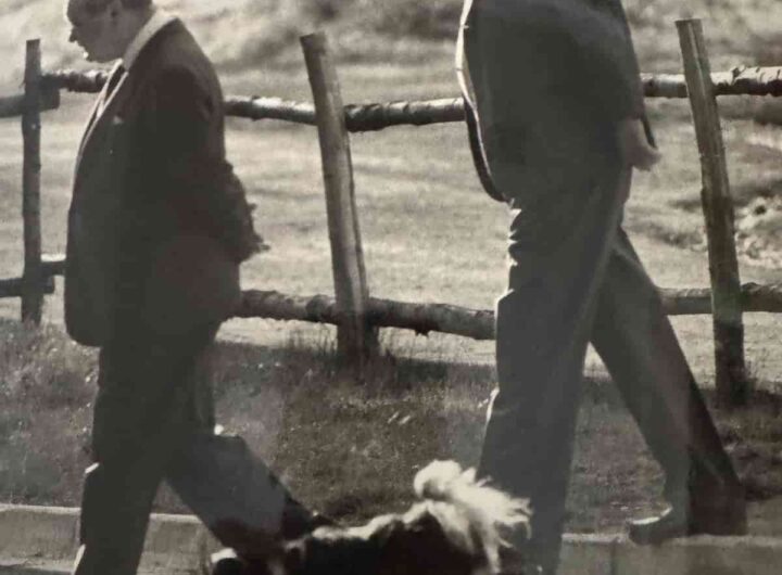 Repubblica diventa saudita? Stampa pugliese? Le ultime voci sulla fine del sogno di Caracciolo (nella foto)