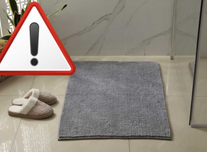 Questo accessorio, presente in quasi tutte le abitazioni, merita una riflessione approfondita per via delle implicazioni igieniche e sanitarie che porta con sé.