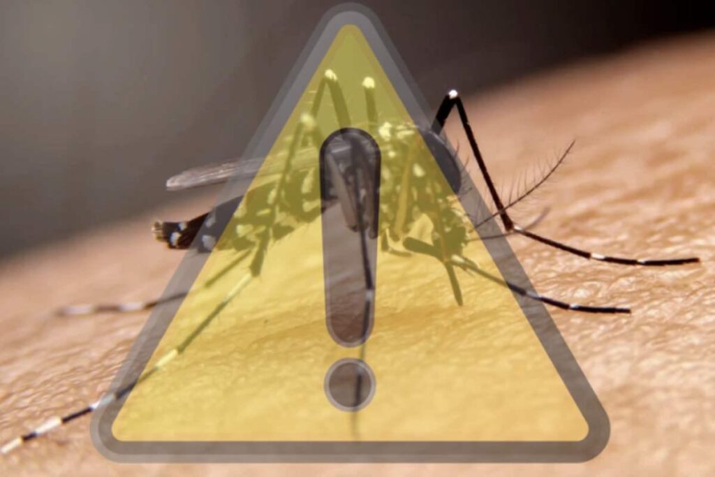 Secondo gli ultimi aggiornamenti forniti dalla ASL 5 di Oristano