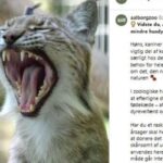 il messaggio dello zoo di aalborg