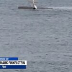 Il piccolo aereo precipitato in mare in North Carolina