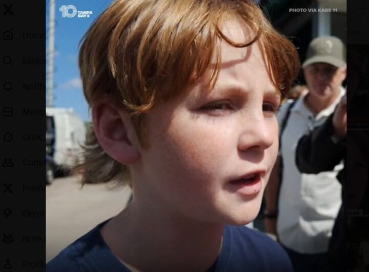 bambino salvo a minneapolis
