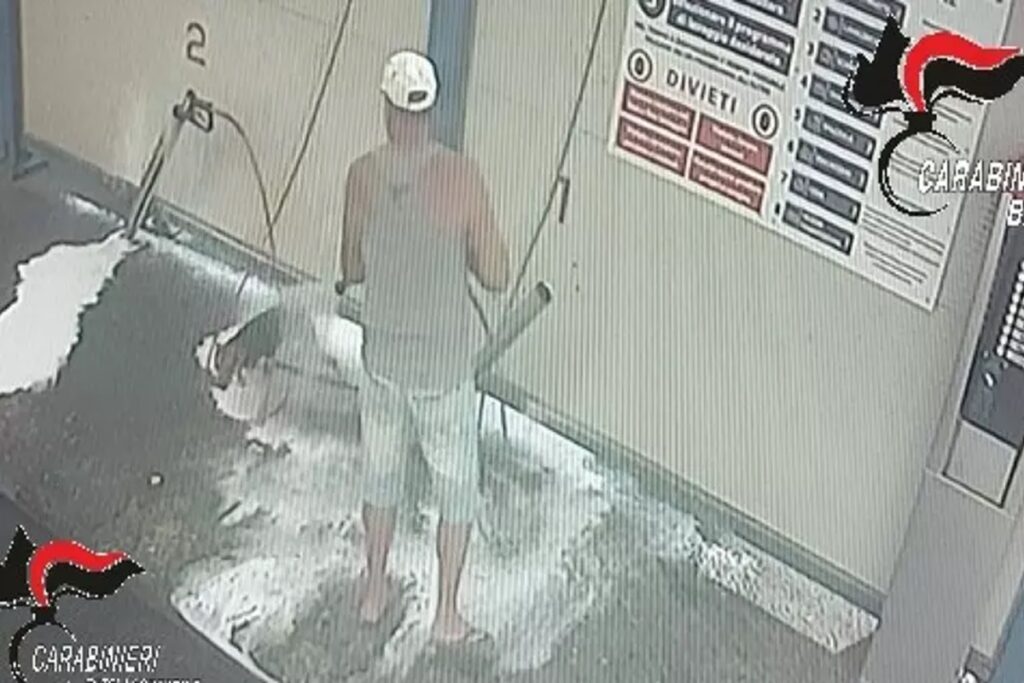 Lava il cane all'autolavaggio, un frame del video