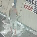 Lava il cane all'autolavaggio, un frame del video