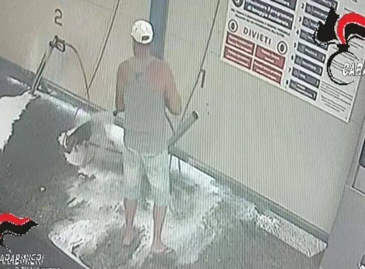 Lava il cane all'autolavaggio, un frame del video