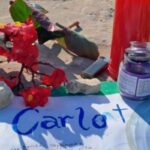 carlo panizzo raccolta fondi