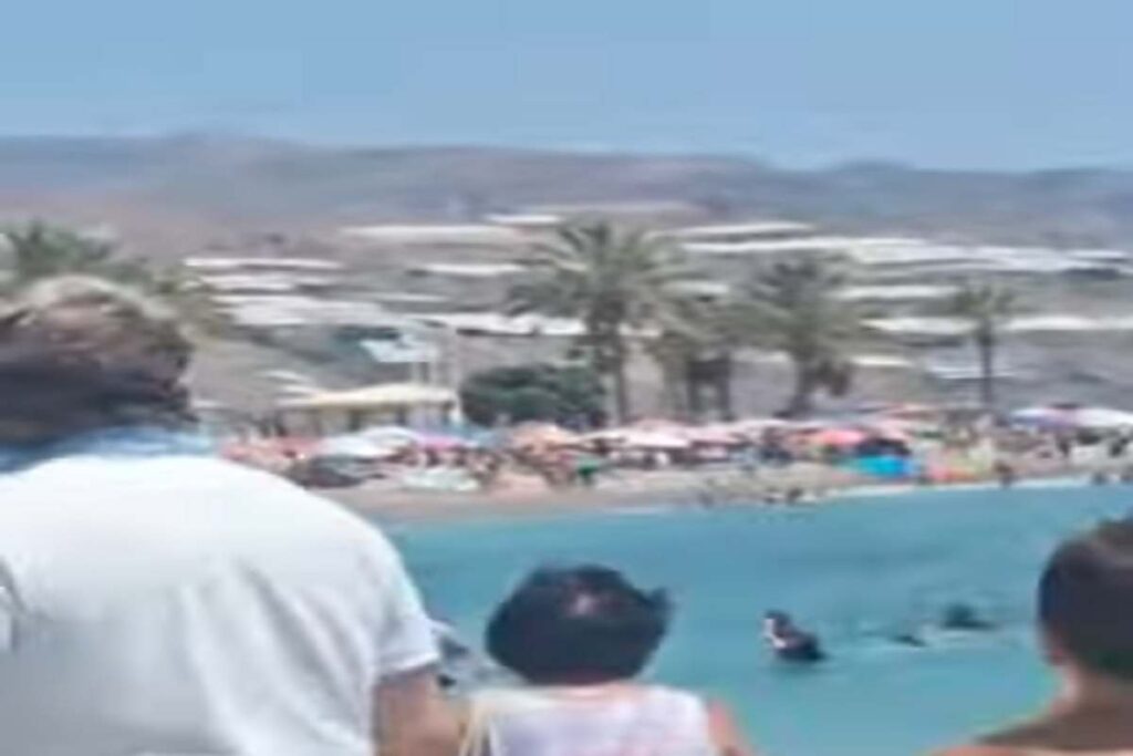 I migranti sbarcati su una spiaggia in Spagna