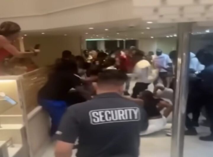 Rissa tra i passeggeri di ua nave da crociera