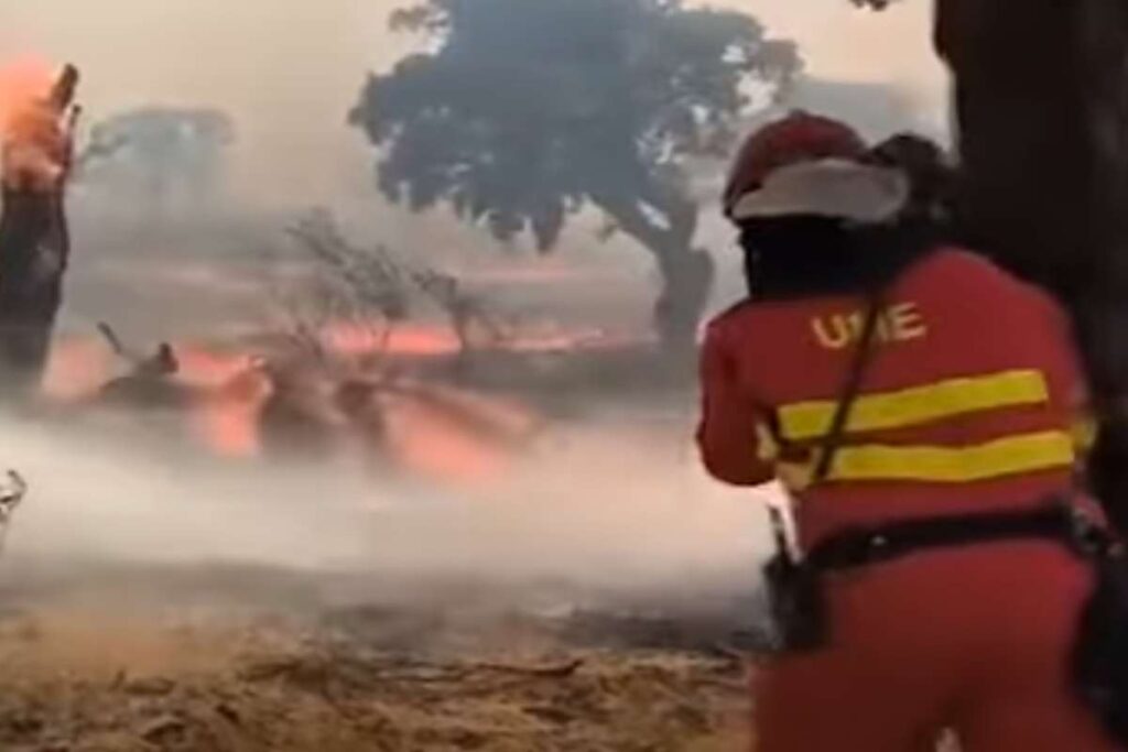 Vigili del fuoco in Spagna