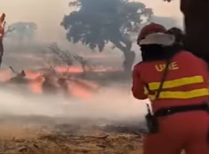 Vigili del fuoco in Spagna