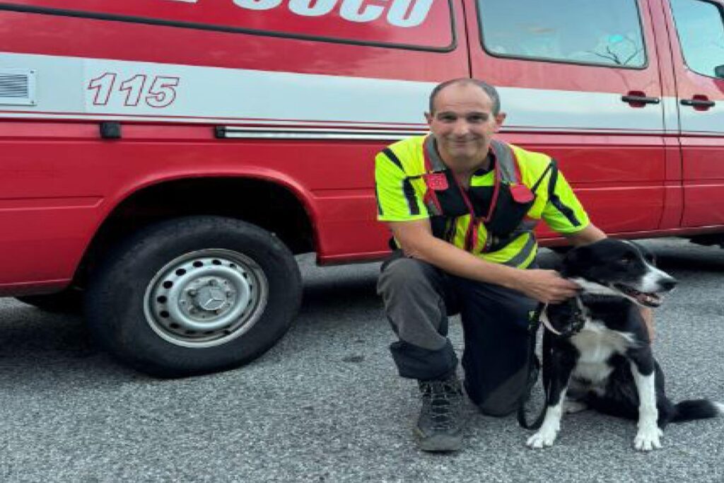 IL cane Teo dei vigili del fuoco