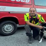 IL cane Teo dei vigili del fuoco