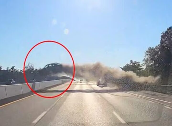 Auto esce di strada e sorvola quattro corsie prima di schiantarsi VIDEO