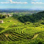 Cammino del Prosecco