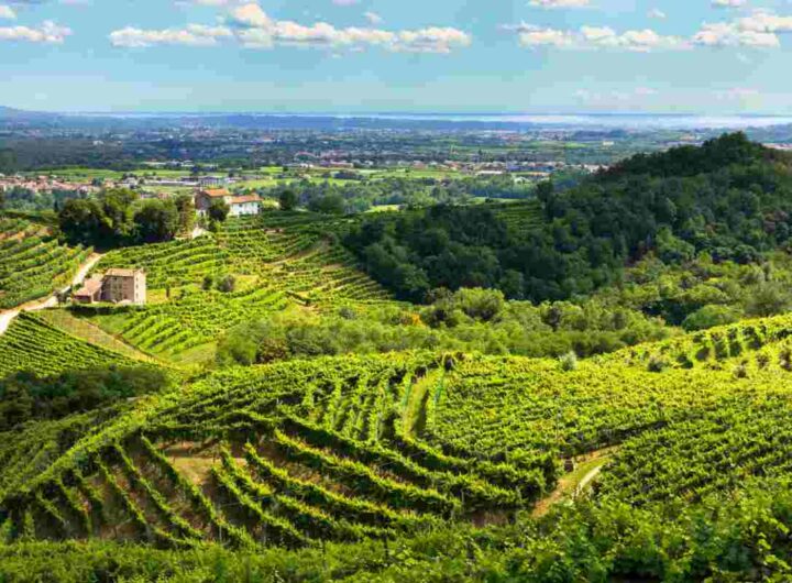 Cammino del Prosecco