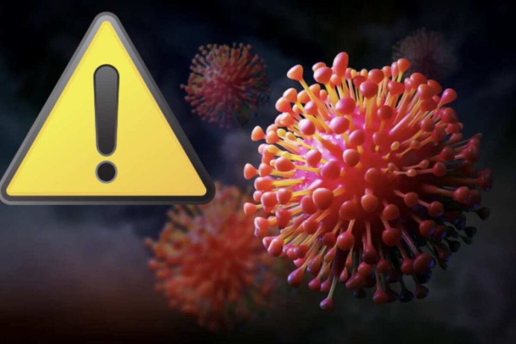 Secondo il recente report dell’Istituto Superiore di Sanità (ISS), nel periodo compreso tra il 28 agosto e il 3 settembre sono stati confermati 2.050 nuovi contagi