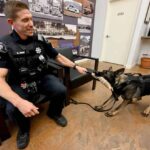 Due cani sono entrati in organico delle forze dell’ordine nella contea di Boulder, Colorado, nella foto Il vice sceriffo della contea di Boulder, Richard Hart, con il cane K-9, Ares. (Cliff Grassmick fotografo)