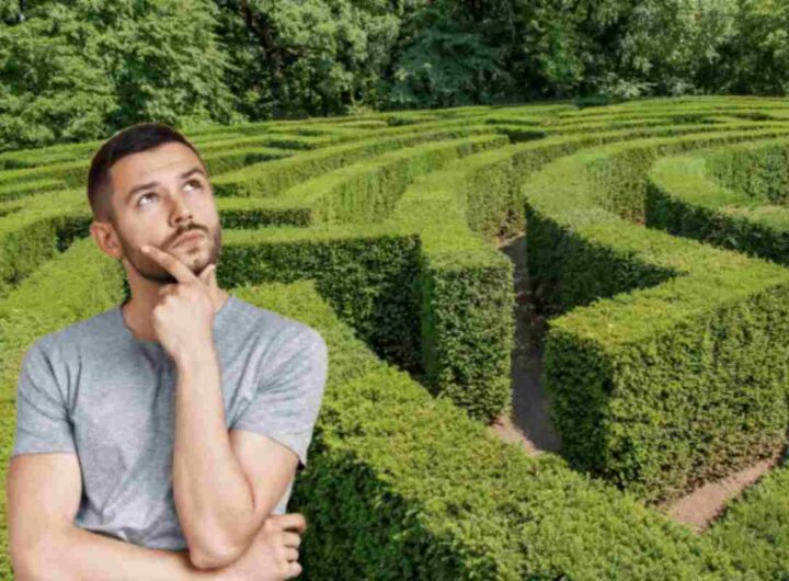 Nato dal genio di Franco Maria Ricci, il labirinto rappresenta un connubio unico tra natura, arte e cultura, ispirato a una promessa fatta nel 1977