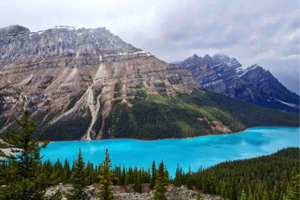 Lago Peyto