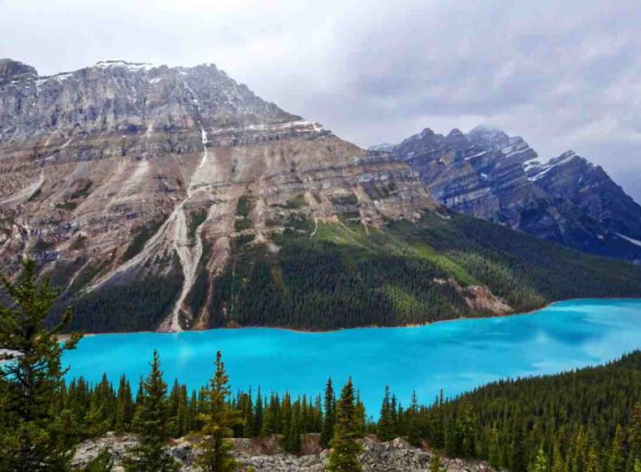 Lago Peyto