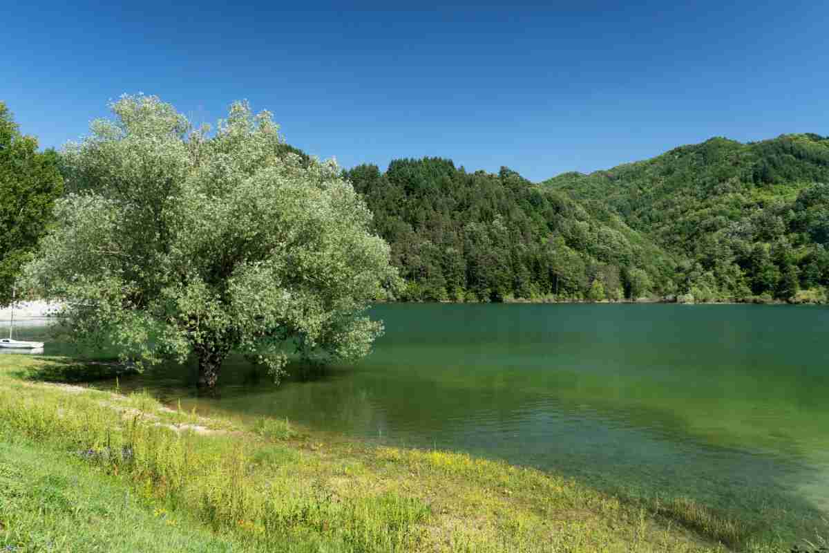 Lago di Gramolazzo