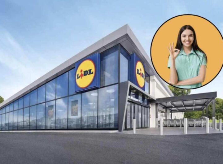 Offerto a un costo decisamente contenuto, questo prodotto sta rapidamente conquistando gli scaffali e le preferenze di chi desidera mantenere