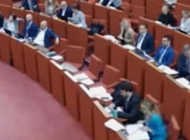 consiglio comunale genova