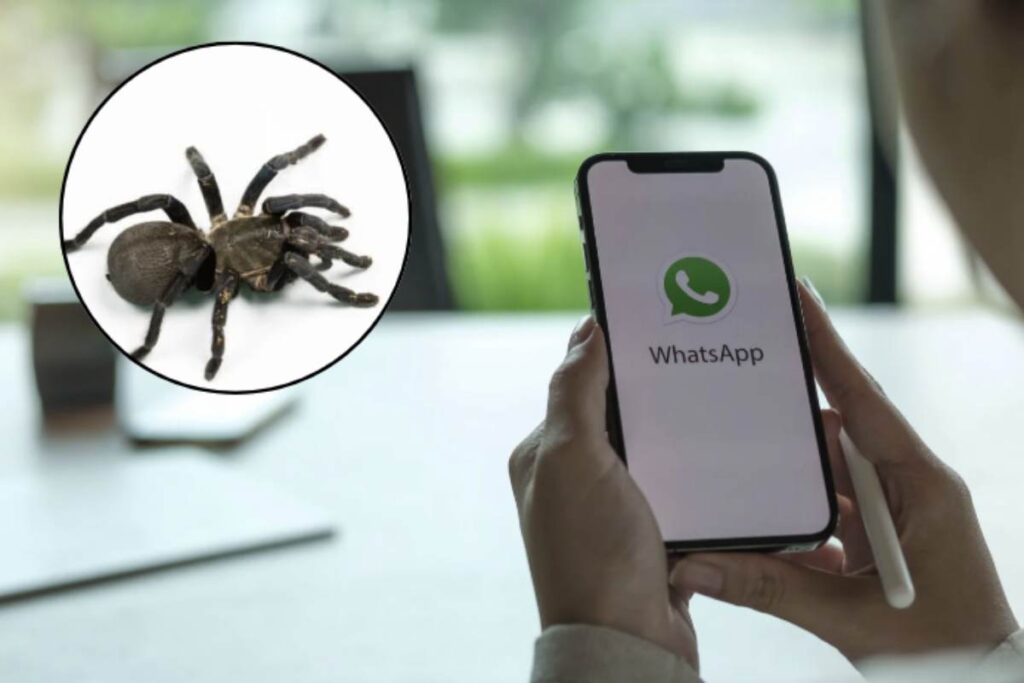 Pur trattandosi di una modifica puramente grafica e non ufficiale, il fenomeno ha catturato l’attenzione degli appassionati di personalizzazione digitale