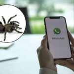 Pur trattandosi di una modifica puramente grafica e non ufficiale, il fenomeno ha catturato l’attenzione degli appassionati di personalizzazione digitale