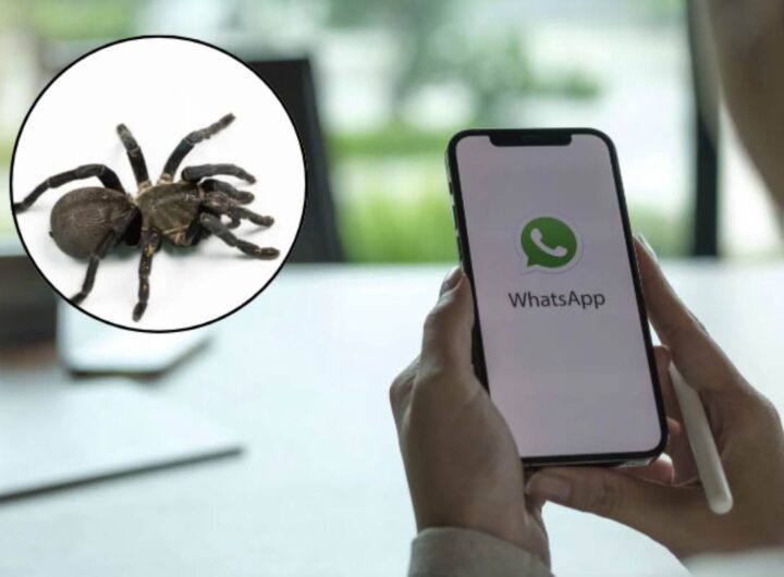 Pur trattandosi di una modifica puramente grafica e non ufficiale, il fenomeno ha catturato l’attenzione degli appassionati di personalizzazione digitale