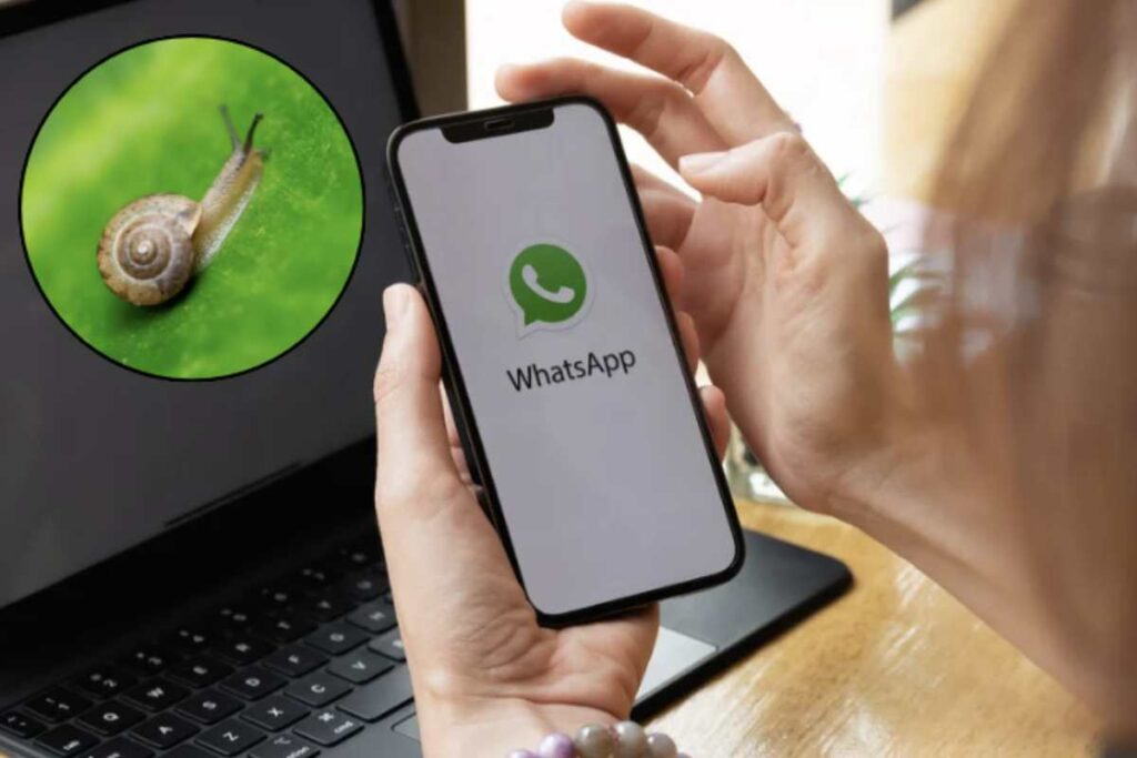 Tra queste spicca il cosiddetto “modo caracol” (modalità lumaca), una modifica grafica che consente di sostituire il classico logo