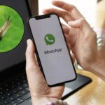 Tra queste spicca il cosiddetto “modo caracol” (modalità lumaca), una modifica grafica che consente di sostituire il classico logo