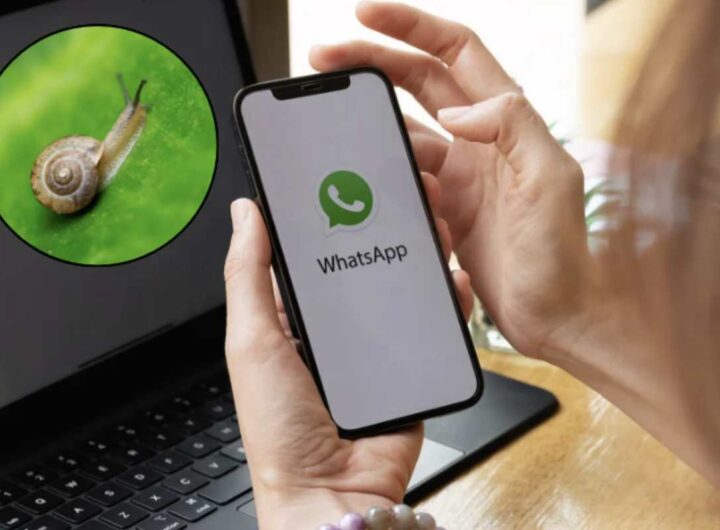 Tra queste spicca il cosiddetto “modo caracol” (modalità lumaca), una modifica grafica che consente di sostituire il classico logo