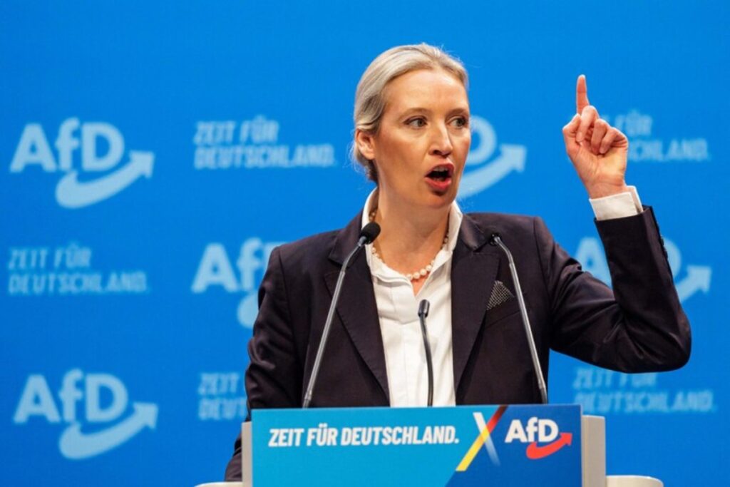 Alice Weidel afd