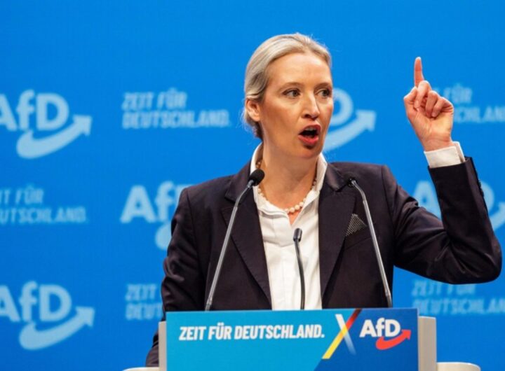 Alice Weidel afd