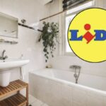 La catena di supermercati tedesca sorprende ancora una volta con una serie di offerte imperdibili, pensate per chi desidera rinnovare il proprio spazio bagno