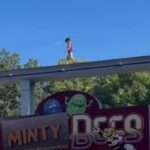 Bambino cammina sulla monorotaia di un parco divertimenti