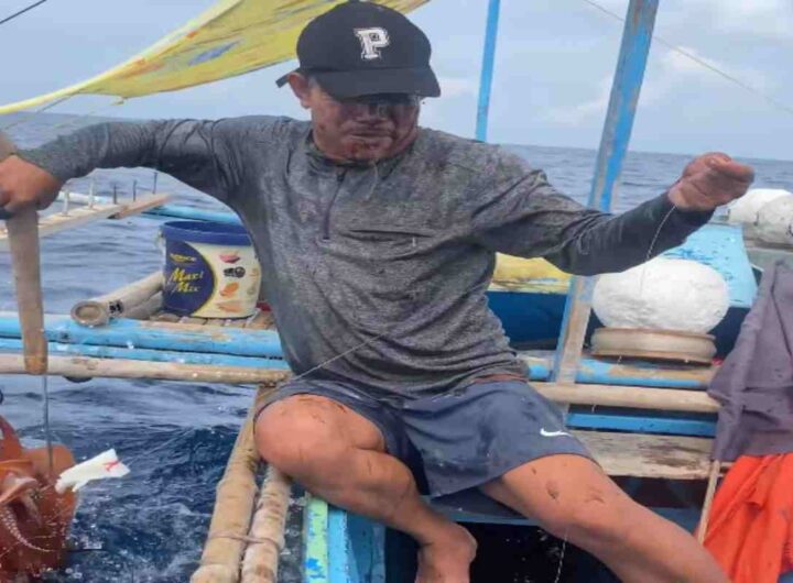 Pesca un calamaro gigante