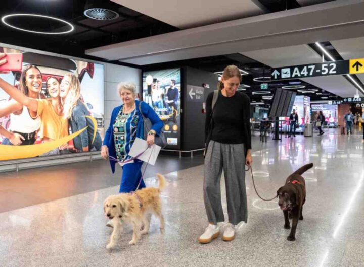 Cane a bordo dell'aereo Ita Airways