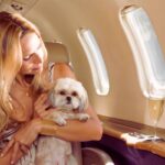 Le nuove regole delle compagnie aree sui cani a bordo