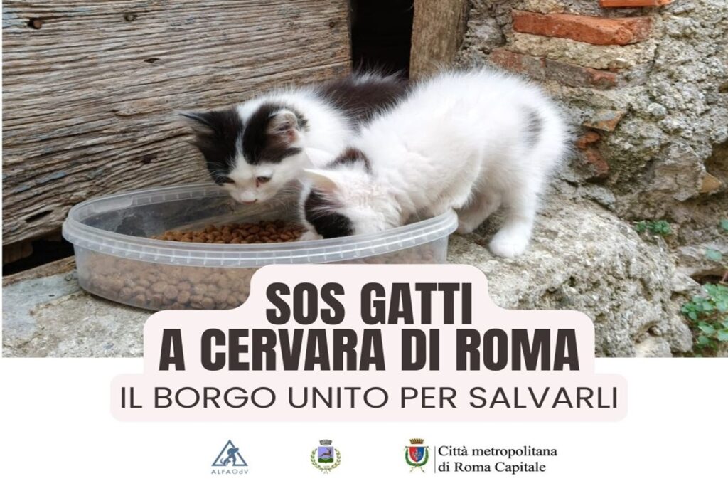 L'iniziativa del Comune di Cervara