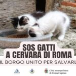 L'iniziativa del Comune di Cervara