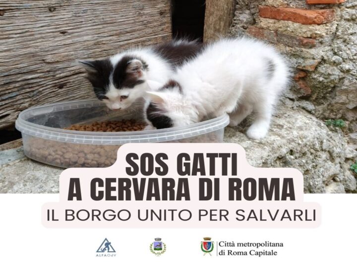 L'iniziativa del Comune di Cervara